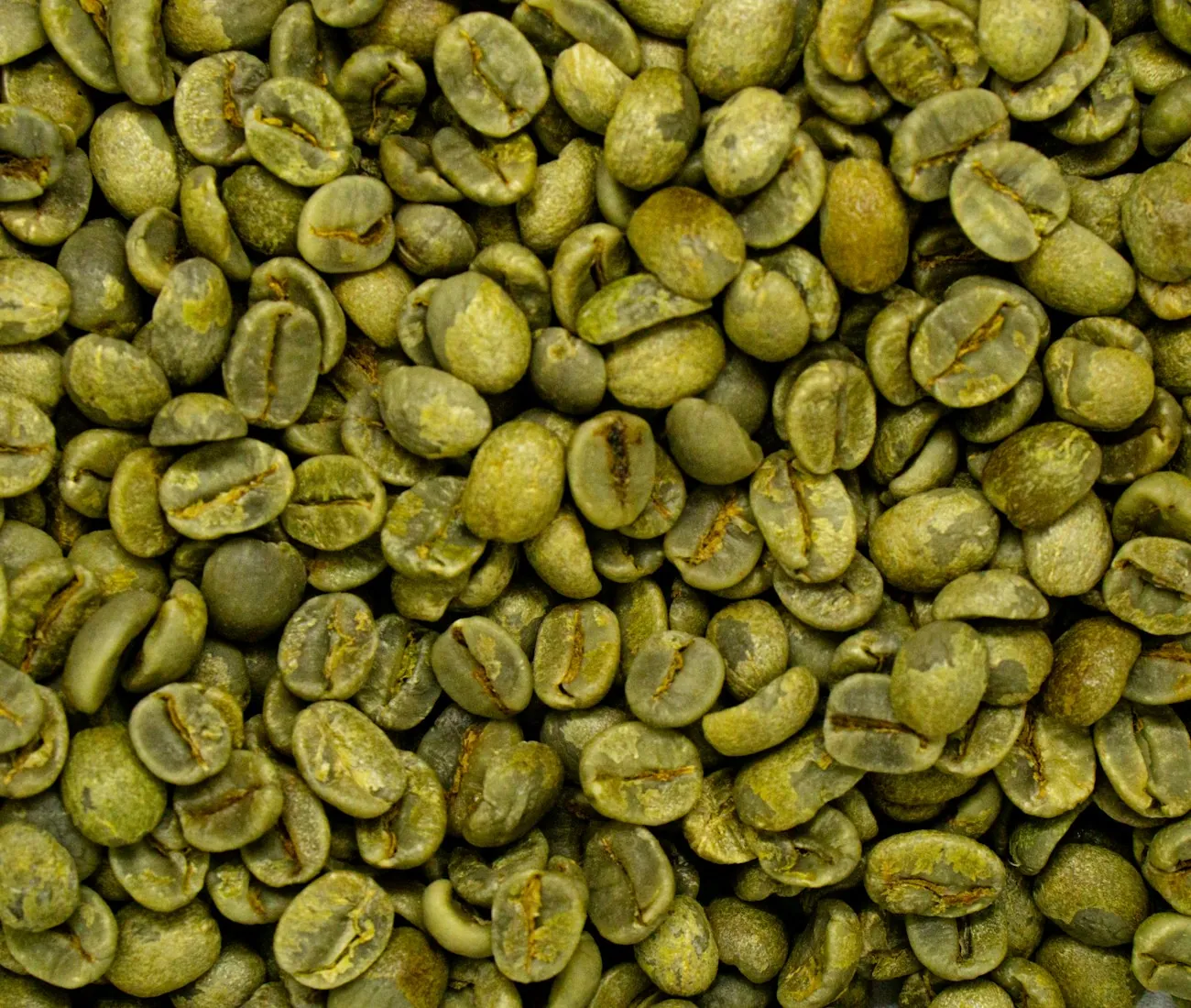 Unroasted green coffee beans